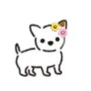 ぽのの画像