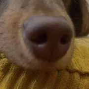 なおの画像
