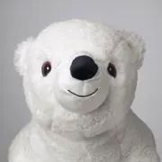 しろくまの画像