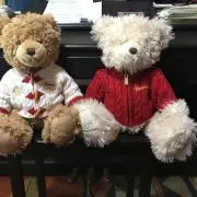 エチゴヤの画像