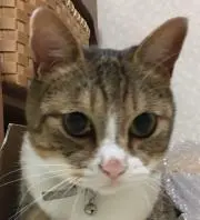 やまちゃんの画像