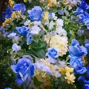 ありの画像