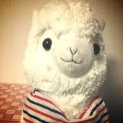 ピーの画像