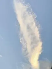 Soの画像