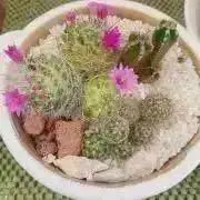 即購入OK⭕️発送早いですよー！の画像