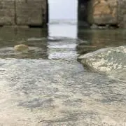 じじ