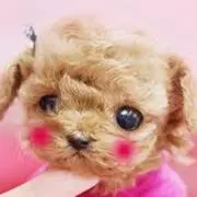 りおの画像