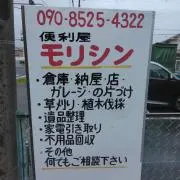モリシンの画像