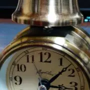 さくらざかの画像