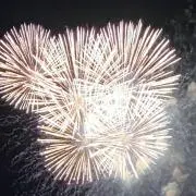 ＊＊hana＊＊の画像