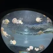 ナス野郎の画像