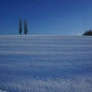 TAKA