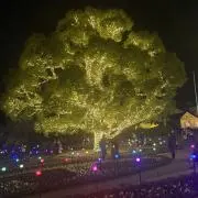 カナの画像