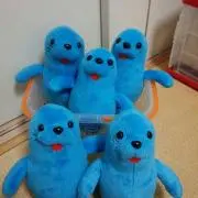 必ずコメント下さい　AK