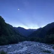 ねこじゃがの画像