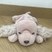 - l a t t e -の画像