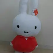 るるの画像