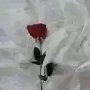 M(プロフ必読)即購入◎の画像