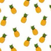てん.English availableの画像