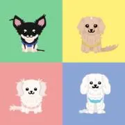 ぴあの画像
