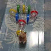 まきろん☆