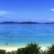 スーガの画像