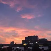m.の画像