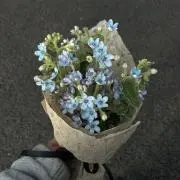 るの画像