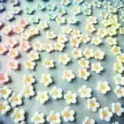 n0000hの画像