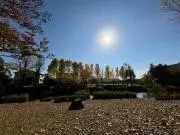 waの画像