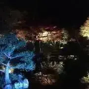 ジジ（7/25〜28発送不可）の画像