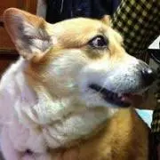 K.Tの画像