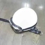 ももたこす