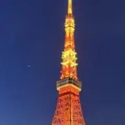 ゆーの画像