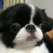 土日も発送☆おじぞー☺︎