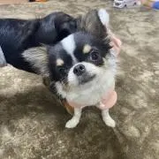 ひろみん