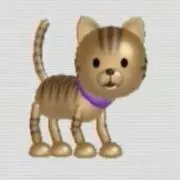 コリラ（プロフィールご確認ください）の画像