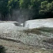BBの画像