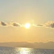 星