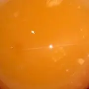 いくらの画像