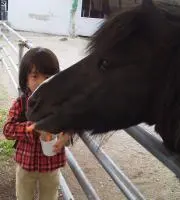 りっぴーの画像