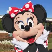 haaa（。ӧ◡ӧ。）の画像