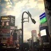 Hirolinの画像