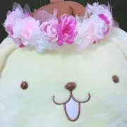 Hiiii ※プロフ見てくださいの画像