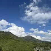 AKXZの画像