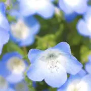 moの画像