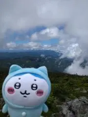 ★7/27〜31発送できません★の画像