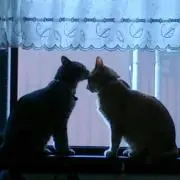 チャラ