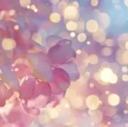 SALE中！maluの画像