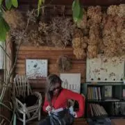 V